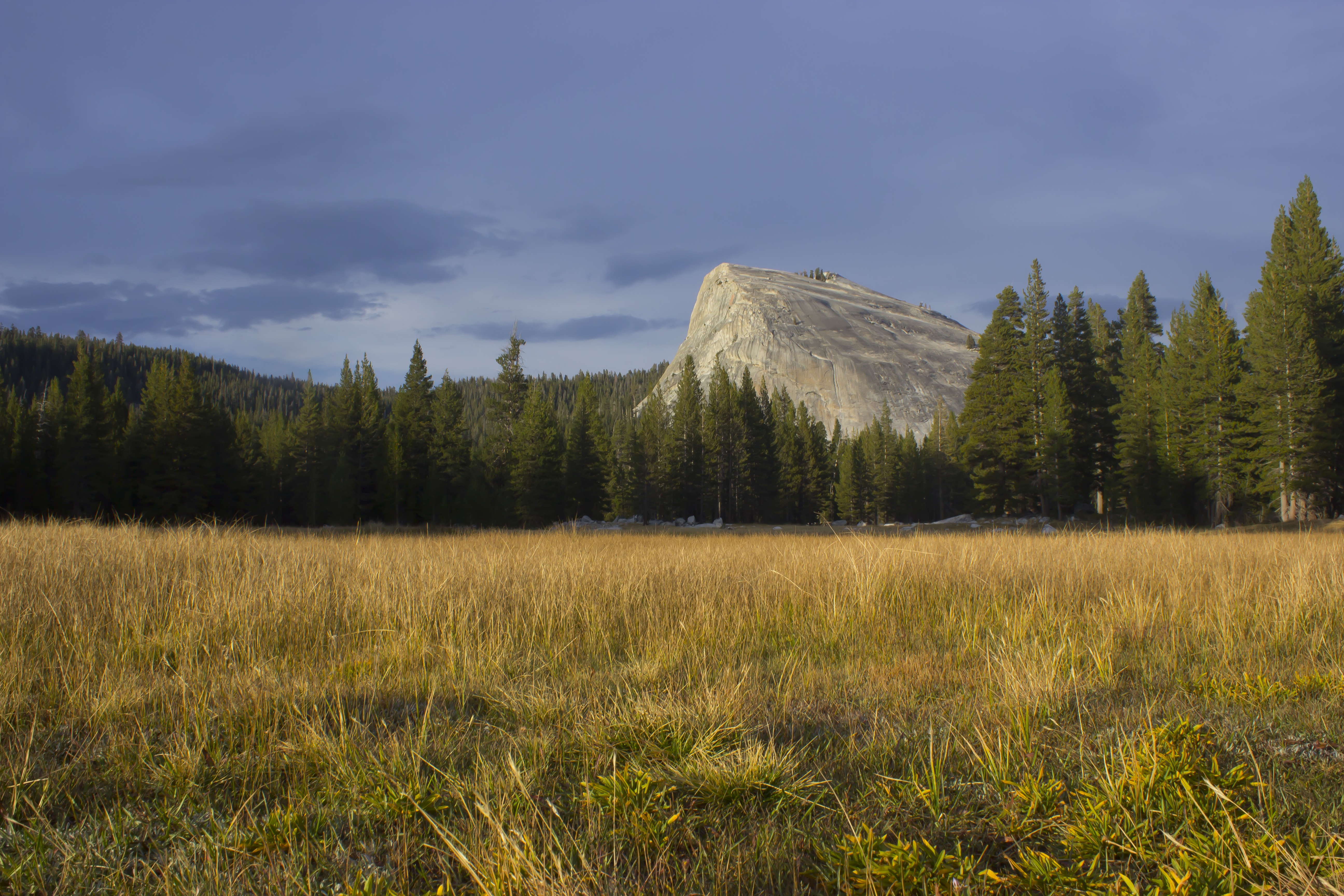 Lambert dome from Tuolomne Meadows